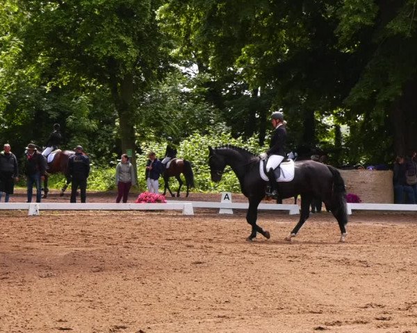 Reitturnier Königsborn 2022