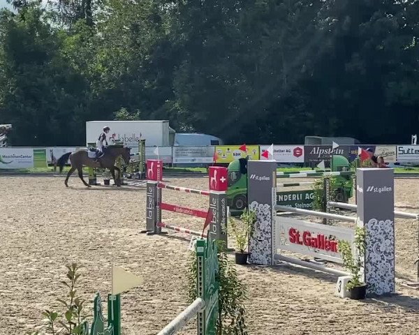 Reitturnier Wittenbach 2021