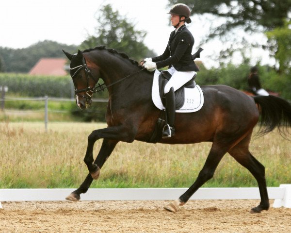 dressage horse Lutz Löwenherz 3 (Hanoverian, 2015, from Livaldon)