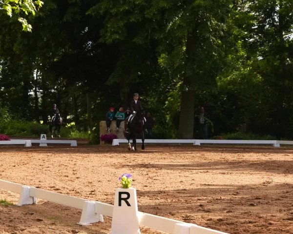 Reitturnier Königsborn 2022