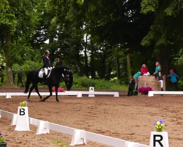 Reitturnier Königsborn 2022