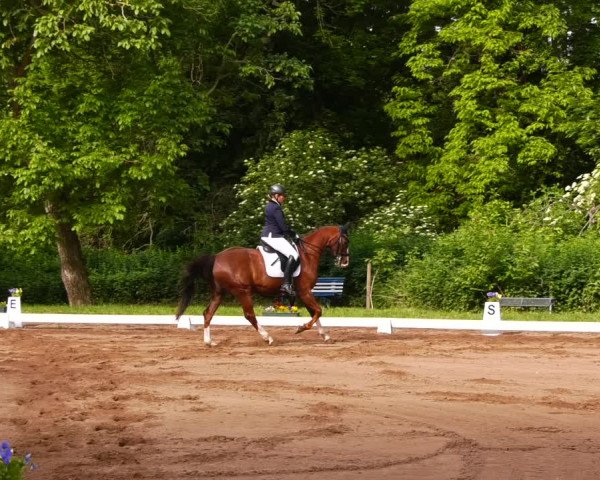 Reitturnier Königsborn 2022