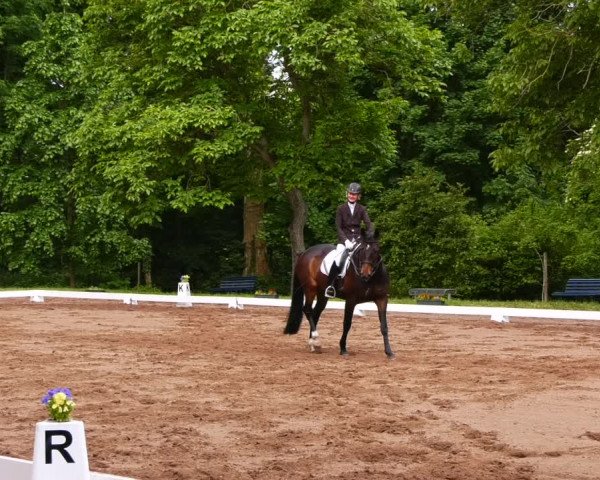 Reitturnier Königsborn 2022