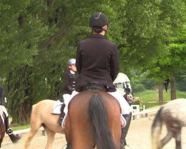 Reitturnier Hamm-Rhynern 2022