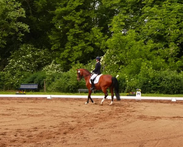 Reitturnier Königsborn 2022