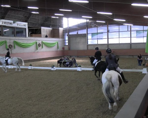 Reitturnier Hellefeld 2022