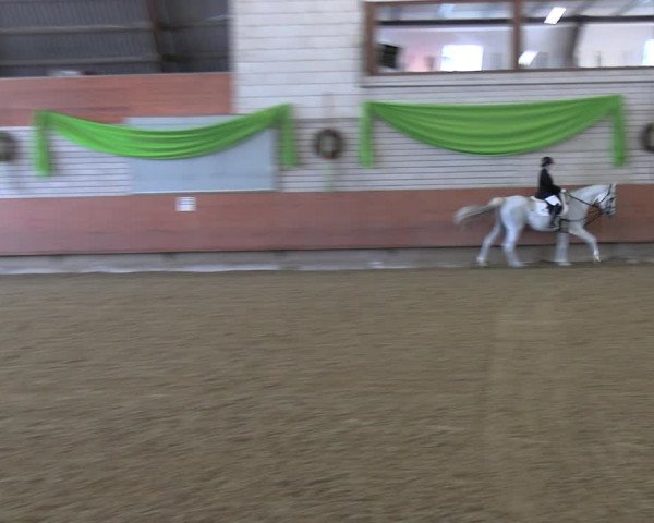 Reitturnier Hellefeld 2022