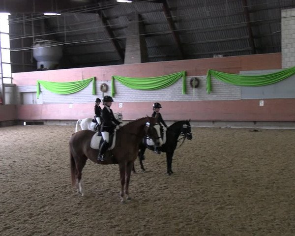 Reitturnier Hellefeld 2022