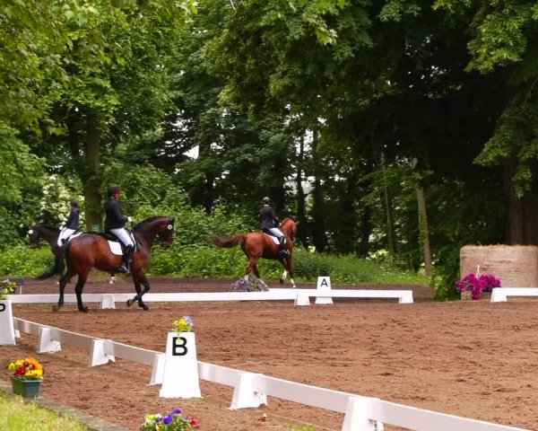 Reitturnier Königsborn 2022