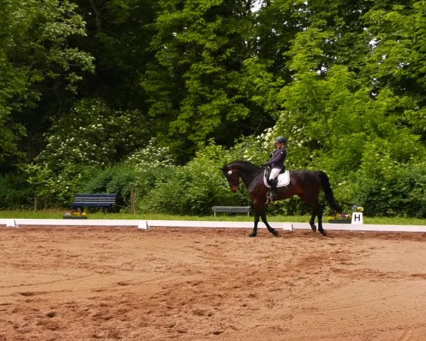 Reitturnier Königsborn 2022