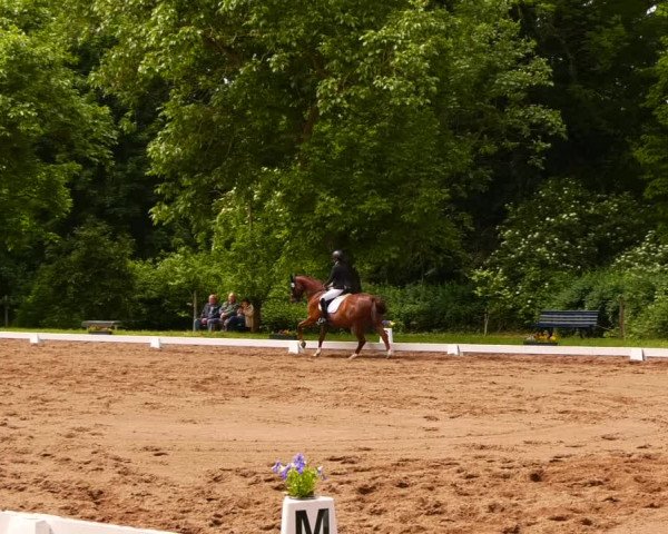 Reitturnier Königsborn 2022