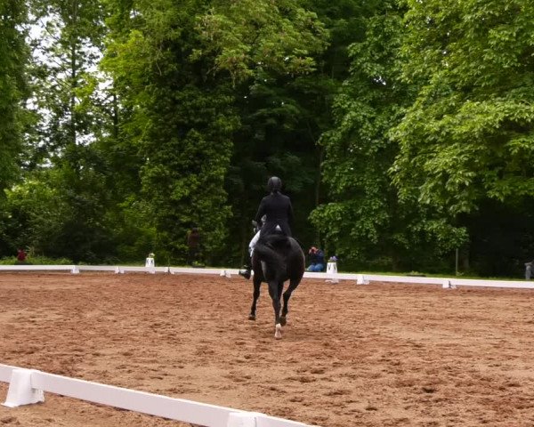 Reitturnier Königsborn 2022