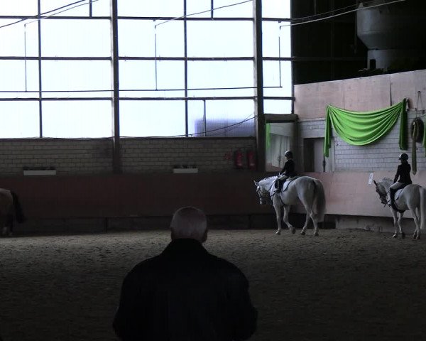 Reitturnier Hellefeld 2022
