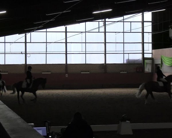 Reitturnier Hellefeld 2022