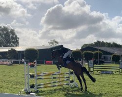 jumper Soraya E (Hanoverian, 2012, from Sir Shutterfly)