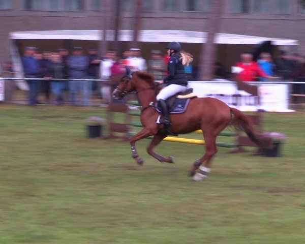 Reitturnier Kakerbeck 2022