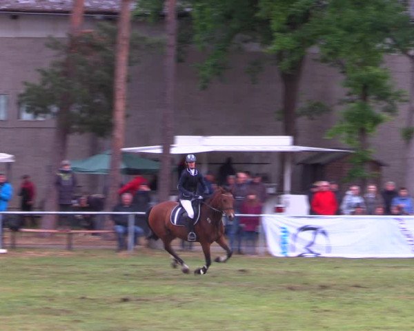 Reitturnier Kakerbeck 2022