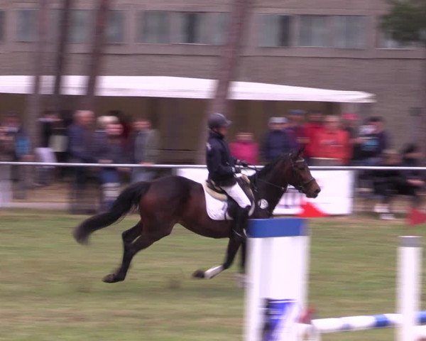 Reitturnier Kakerbeck 2022