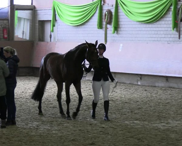 Reitturnier Hellefeld 2022