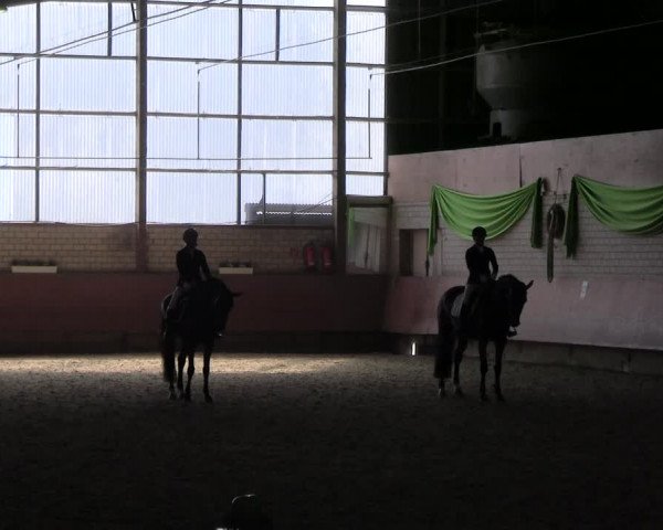 Reitturnier Hellefeld 2022