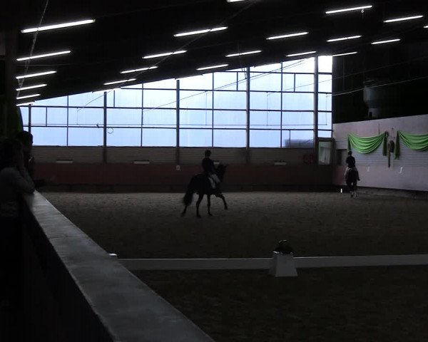 Reitturnier Hellefeld 2022
