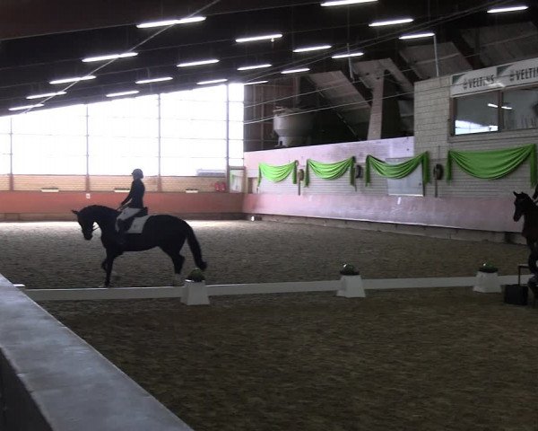 Reitturnier Hellefeld 2022