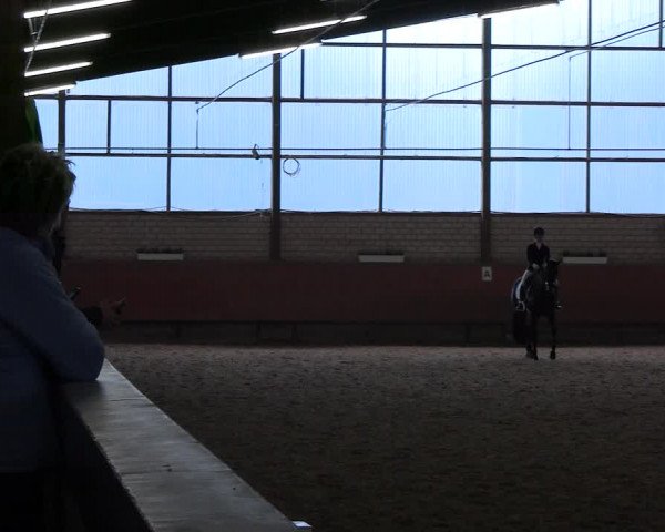Reitturnier Hellefeld 2022