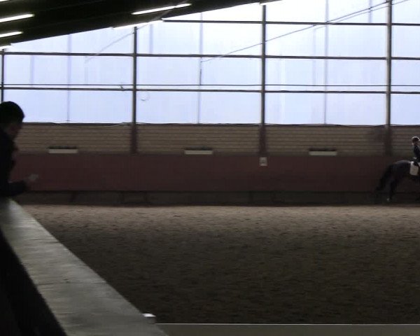Reitturnier Hellefeld 2022