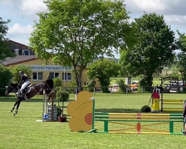 Reitturnier Herrieden/Mfr. 2022