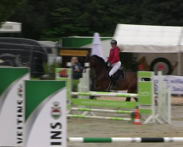 Reitturnier Hellefeld 2022