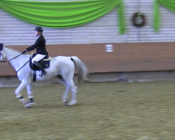 Reitturnier Hellefeld 2022