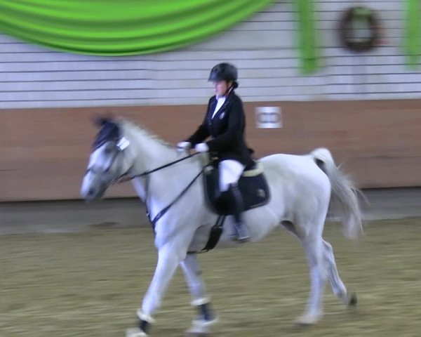 Reitturnier Hellefeld 2022