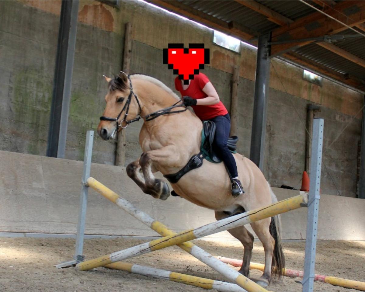 Kilkenny: Cheval, Pedigree