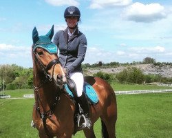 jumper Lacaruna 6 (Hanoverian, 2016, from Light On OLD)