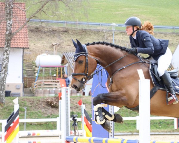 jumper Cyber Touch (Swedish Warmblood, 2014, from Untouchable)