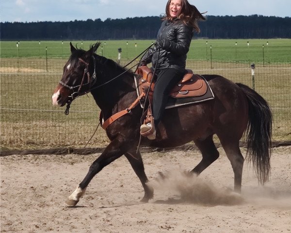 horse Smart Anys Iltschi (Quarter Horse, 2011, from Smart Little Fury)