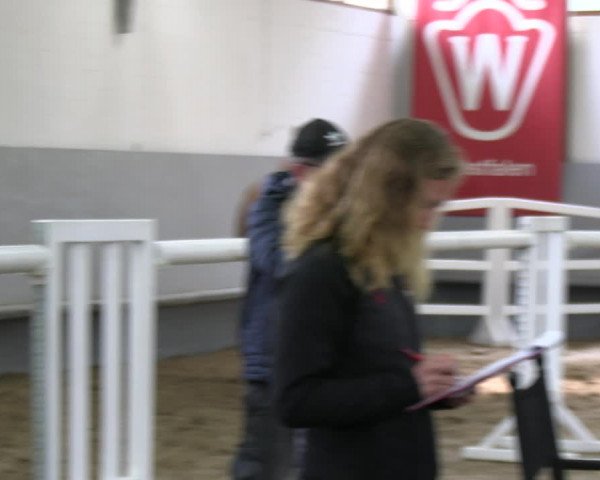Stutenleistungsprüfung Münster-Handorf 2022