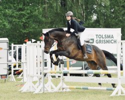broodmare Zarifeh (Holsteiner, 2007, from Carlos DZ)