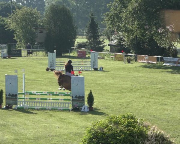 Reitturnier Pennigbüttel 2022