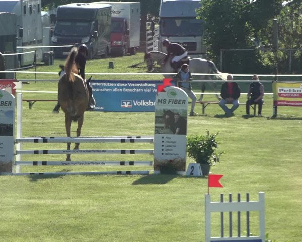 Reitturnier Pennigbüttel 2022