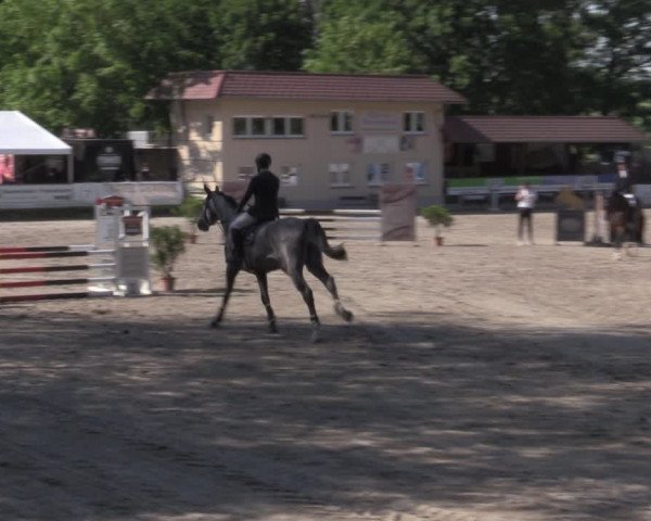 Reitturnier Lgl.-Oberhain, B95 2022