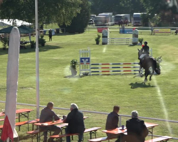 Reitturnier Pennigbüttel 2022