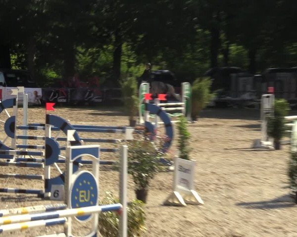 Pfingsturnier Iserlohn-Kalthof 2022