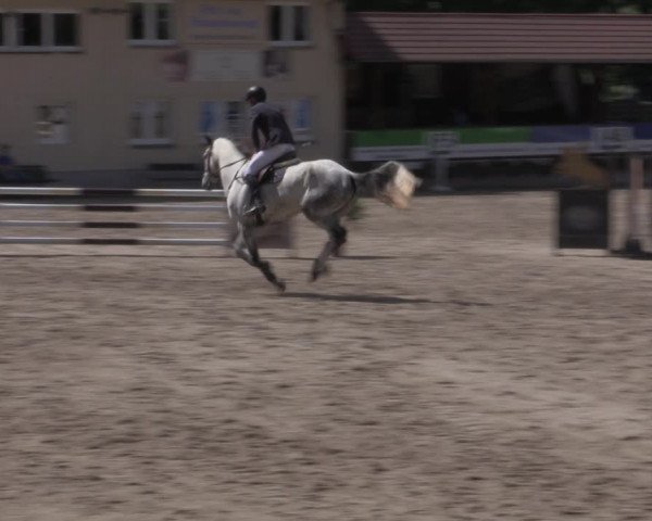 Reitturnier Lgl.-Oberhain, B95 2022