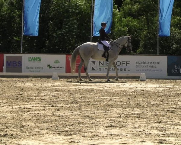 Reitturnier Everswinkel 2022