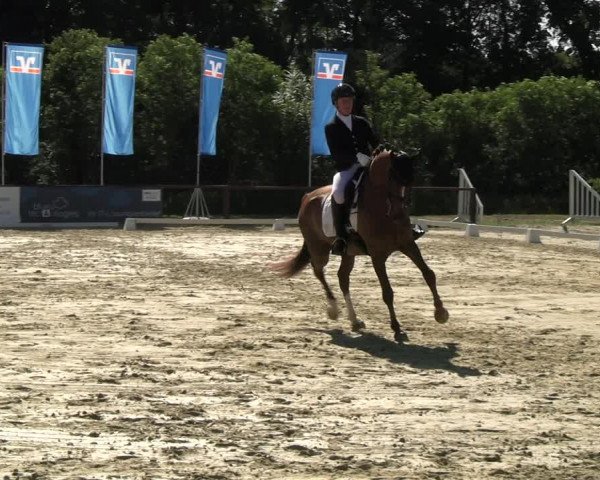 Reitturnier Everswinkel 2022
