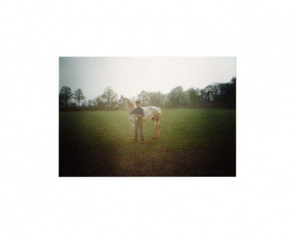 broodmare Desiree (Oldenburg, 1982, from Diskus)