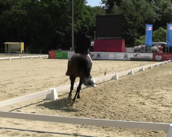 Reitturnier Everswinkel 2022