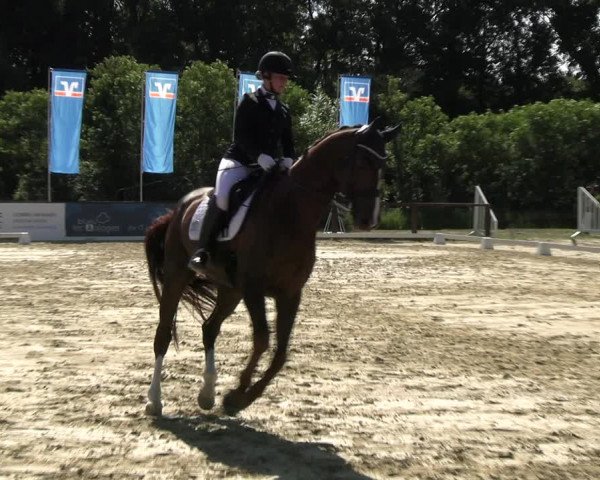 Reitturnier Everswinkel 2022