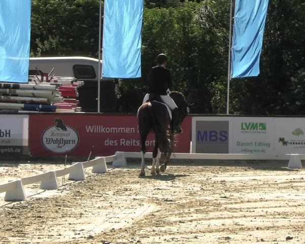 Reitturnier Everswinkel 2022
